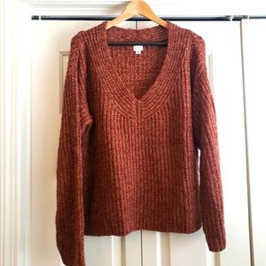 NWOT vneck sweater